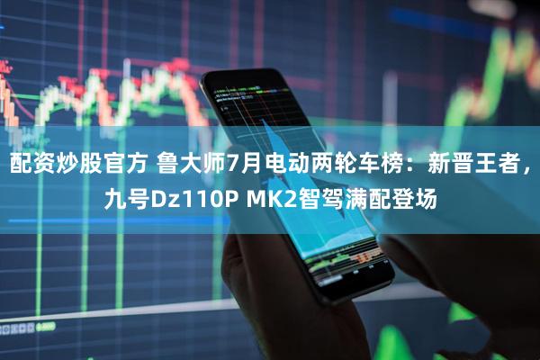 配资炒股官方 鲁大师7月电动两轮车榜：新晋王者，九号Dz110P MK2智驾满配登场