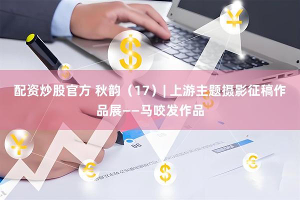 配资炒股官方 秋韵（17）| 上游主题摄影征稿作品展——马咬发作品