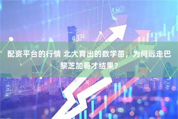 配资平台的行情 北大育出的数学苗，为何远走巴黎芝加哥才结果？